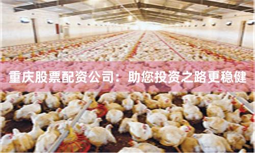 重庆股票配资公司：助您投资之路更稳健