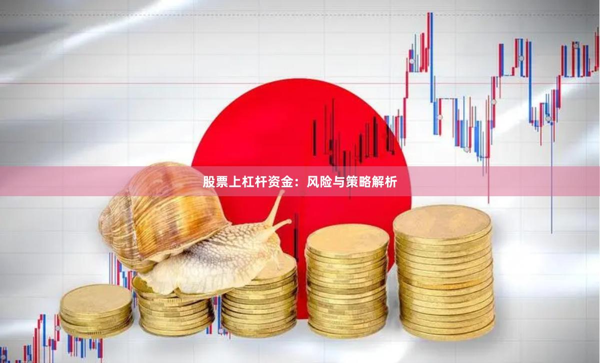股票上杠杆资金：风险与策略解析