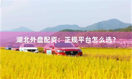 湖北外盘配资：正规平台怎么选？